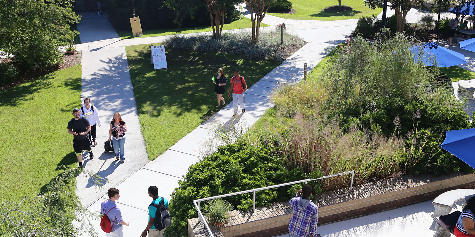 Brunwick Campus Aerial