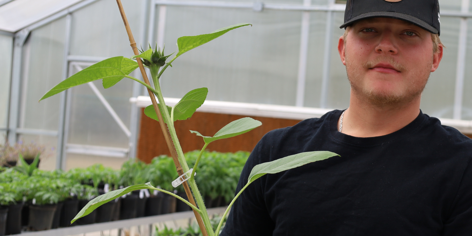 horticulture student in greenhouse