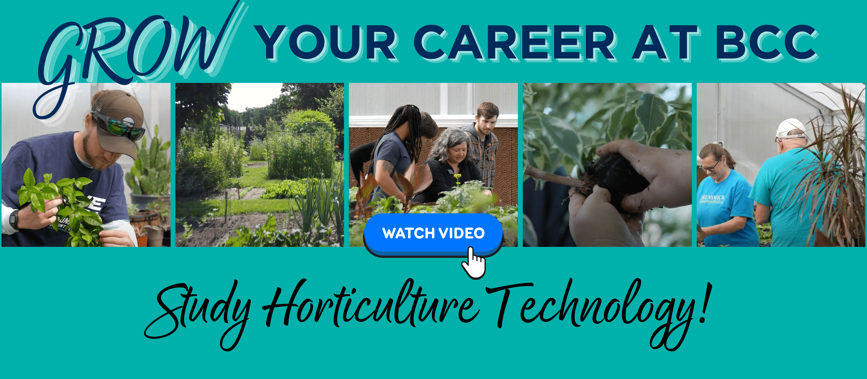 BCC Horticulture Technology students in five photos demonstrating the various learning opportunities that are part of the program. Photos are in the greenhouse, classroom, and field.