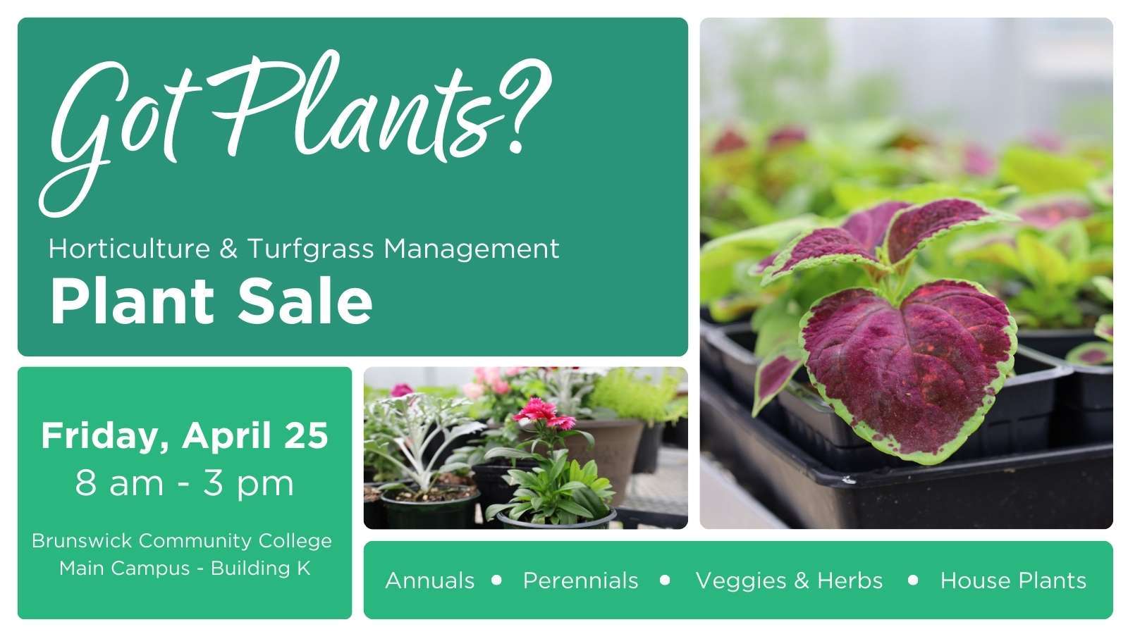 A graphic of plants as part of a promo about the upcoming plant sale