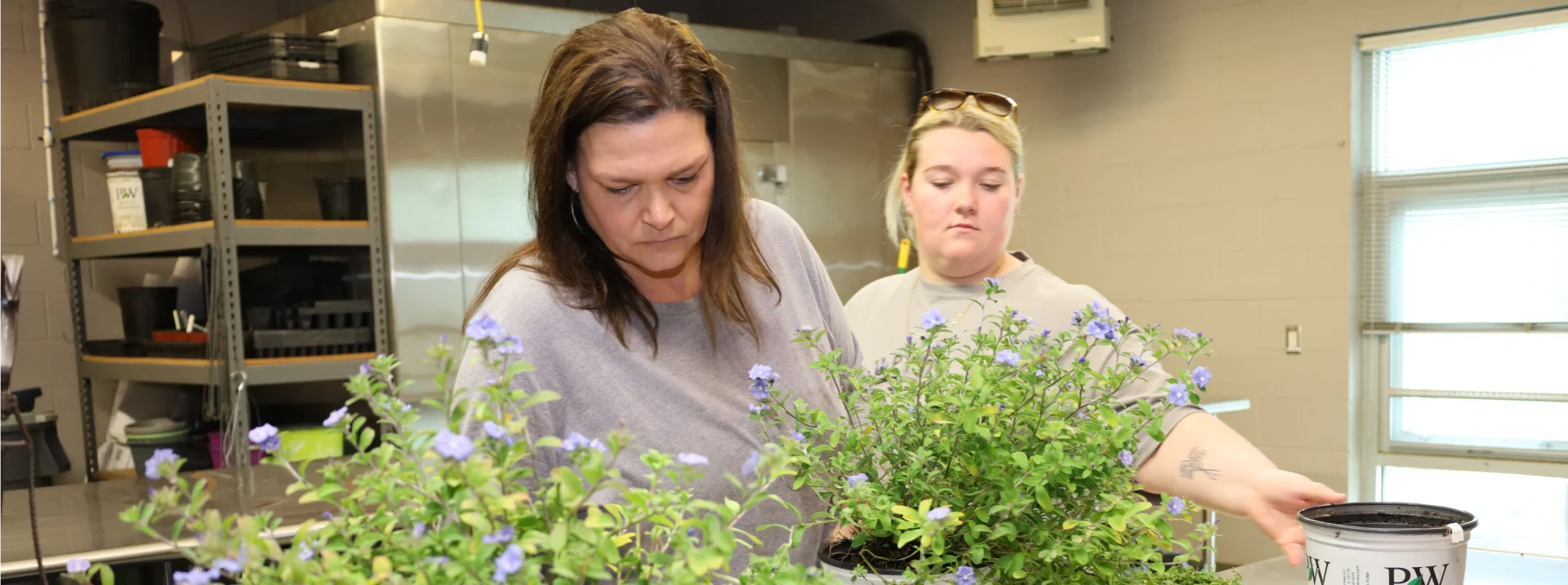 Horticulture Technology Diploma Banner