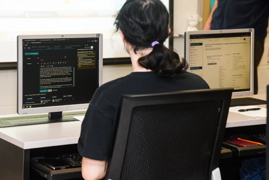 Information Technology Diploma Image