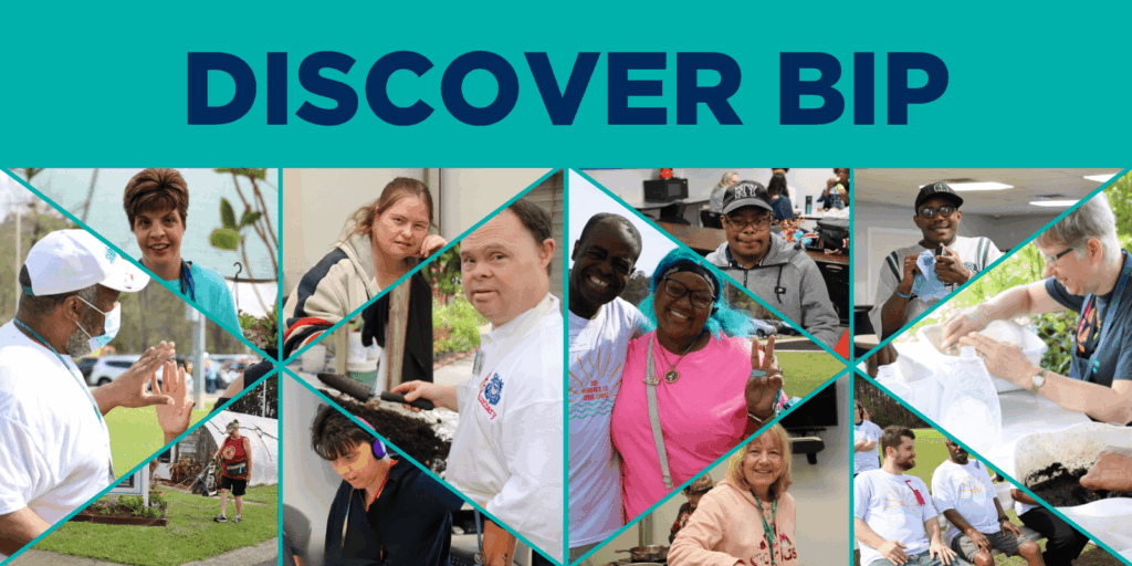 BIP web page header image